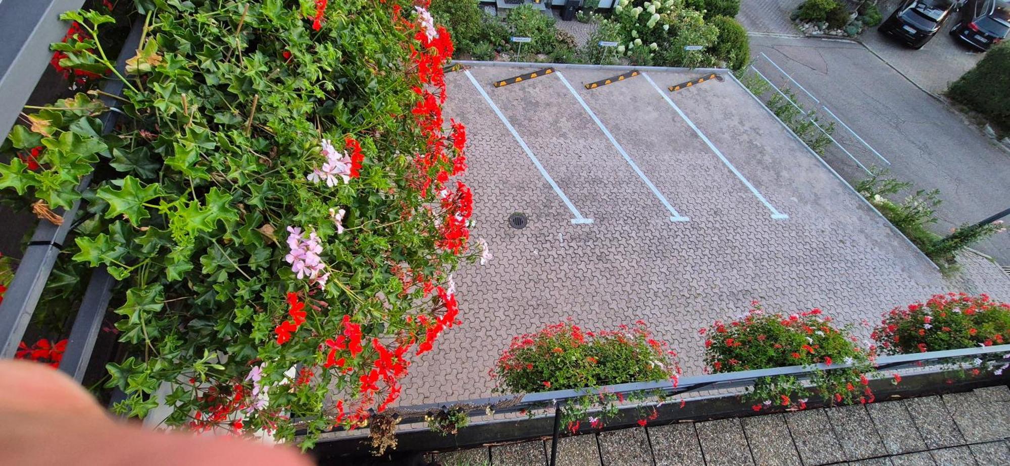 Renatas Ferienwohnung Isabel Sasbachwalden Dış mekan fotoğraf